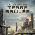 Le Labyrinthe 2, la Terre brûlée : l'affiche française du film