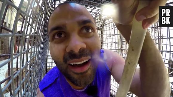 Tony Parker VS un tigre dans Fort Boyard, le 25 juillet 2015 sur France 2