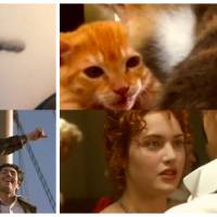 Titanic : le remake... avec des chats
