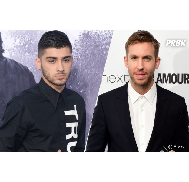 Zayn Malik Vs Calvin Harris Gros Clash Et Insultes Sur Twitter A Cause De Taylor Swift Purebreak