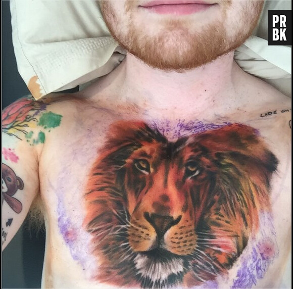 Ed Sheeran : son tatouage de lion ? Un fake