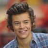 Harry Styles : 2010-2015, l'étonnante évolution capillaire du chanteur
