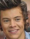 Harry Styles : 2010-2015, l'étonnante évolution capillaire du chanteur