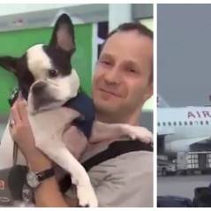 Un pilote pose son avion en urgence pour sauver la vie d'un chien en danger