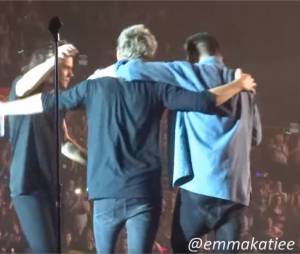 One Direction : câlin et joli discours pour le final de la tournée On The Road à Sheffield en Angleterre, le 31 octobre 2015