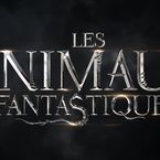 Harry potter : le scénario du spin-off, Les Animaux Fantastiques, se dévoile