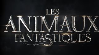 Harry potter : le scénario du spin-off, Les Animaux Fantastiques, se dévoile