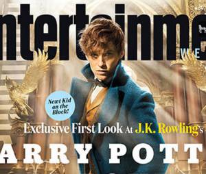 Les Animaux Fantastiques : Eddie Redmayne est le héros du spin-off d'Harry Potter