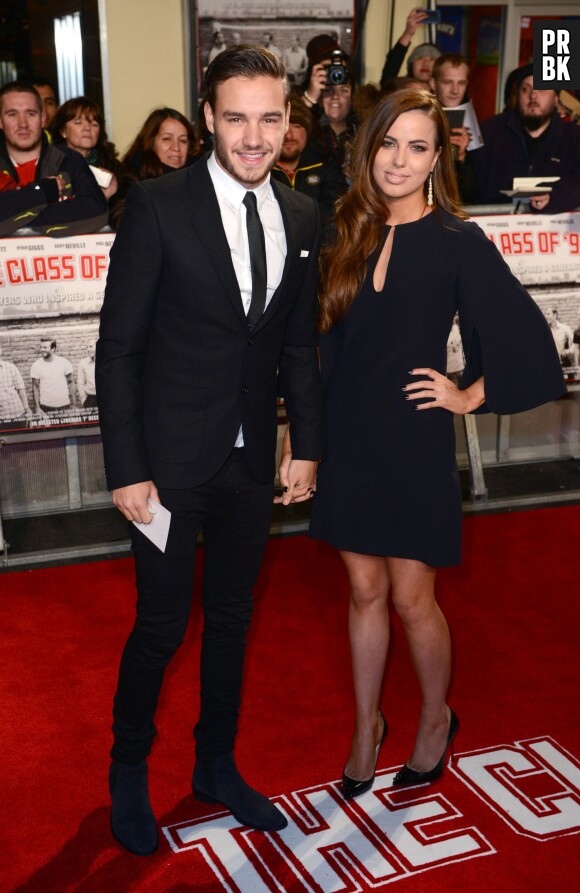 Liam Payne, grand fan d'Harry Potter : le One Direction s'achète la voiture volante des Weasley