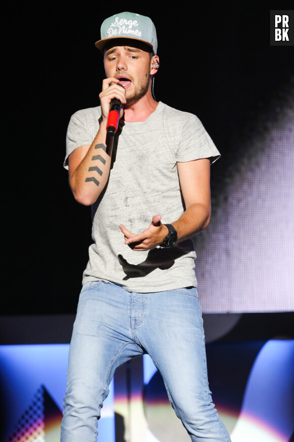 Liam Payne, grand fan d'Harry Potter : le One Direction s'achète la voiture volante des Weasley