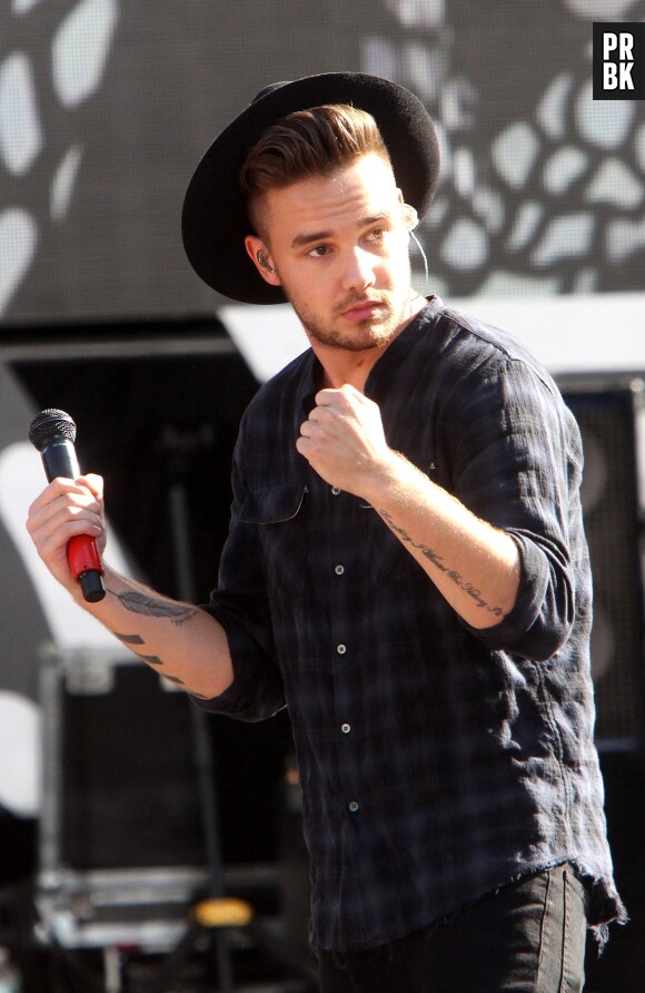 Liam Payne, grand fan d'Harry Potter : le One Direction s'achète la voiture volante des Weasley