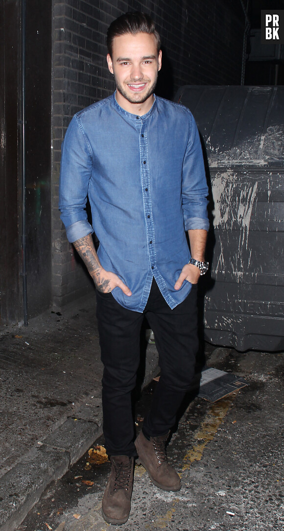 Liam Payne, grand fan d'Harry Potter : le One Direction s'achète la voiture volante des Weasley