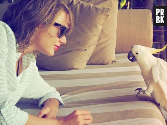 Taylor Swift en vacances en Australie avec toute son staff de la tournée 1989, décembre 2015