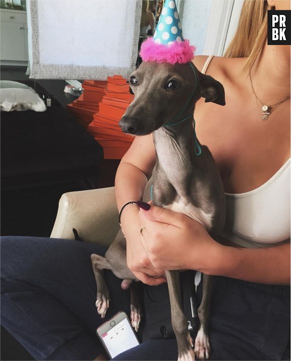 Kylie Jenner poursuivie pour négligence car ses chiens sont trop maigres ?