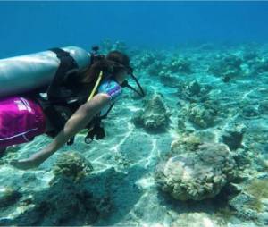 Marine Lorphelin dévoile son incroyable voyage à Tahiti sur Instagram