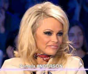 Pamela Anderson répond aux députés français dans On n'est pas couché, le 23 janvier 2016