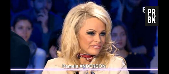 Pamela Anderson répond aux députés français dans On n'est pas couché, le 23 janvier 2016