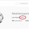 Liam Payne et Cheryl Cole en couple ? Liam Payne affiche leur photo sur Instagram et se dit "heureux"