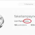 Liam Payne et Cheryl Cole en couple ? Liam Payne affiche leur photo sur Instagram et se dit "heureux"