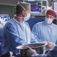 Grey's Anatomy saison 12 : Owen et Riggs vont-ils retrouver Megan ?