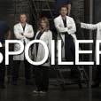 Grey's Anatomy saison 12 : et si un personnage mort était vivant