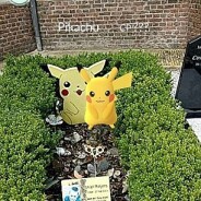 Pokémon Go : il trouve Pikachu sur la tombe de son petit frère, fan du personnage