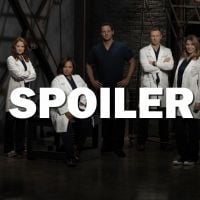 Grey&#039;s Anatomy saison 13 : bientôt un nouveau couple surprise ?