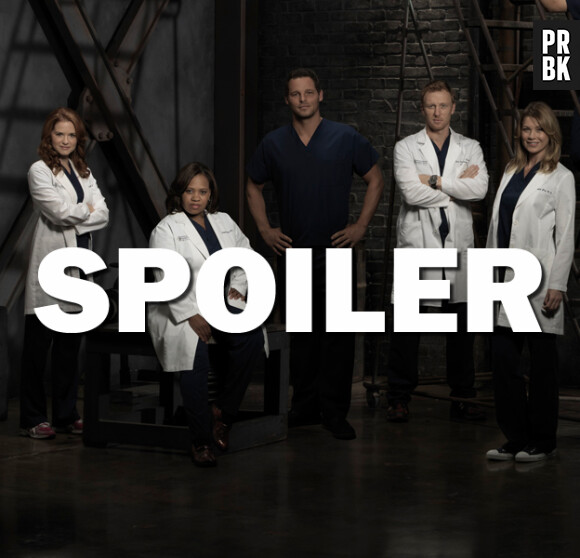 Grey's Anatomy saison 13 : bientôt un nouveau couple en approche ?