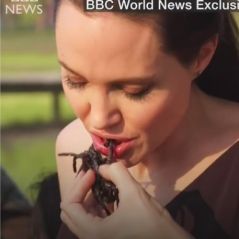 Angelina Jolie : araignées, scorpions... sa leçon de cuisine pas très appétissante 🍴