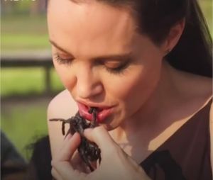 Angelina Jolie mange des araignées dans une interview pour la BBC en février 2017