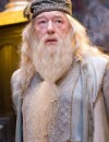 Les Animaux Fantastiques 2 : découvrez qui va jouer Dumbledore