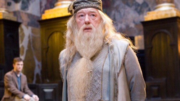 Les Animaux Fantastiques 2 : découvrez qui jouera Dumbledore !