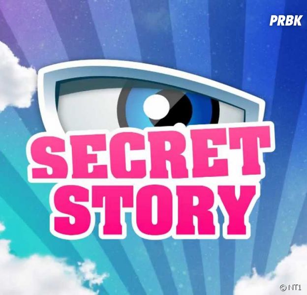 Secret Story 11 de retour le 4 septembre 2017 sur NT1 ?