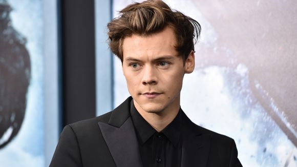 Harry Styles harcelé par des groupies en nuisettes chez lui : ses fans furieuses sur Twitter