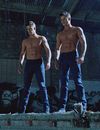 Charlie Carver transformé : l'acteur de Desperate Housewives et Teen Wolf a changé de tête !