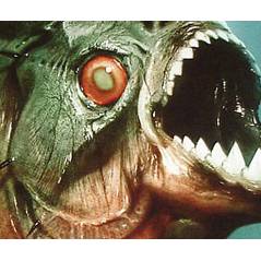 Piranha 3D ... une 1ere bande annonce