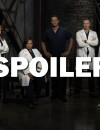 Grey's Anatomy saison 14 : un départ énerve les internautes