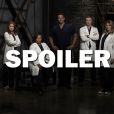 Grey's Anatomy saison 14 : un départ énerve les internautes
