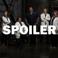 Grey&#039;s Anatomy saison 14 : le départ de (SPOILER) énerve les internautes