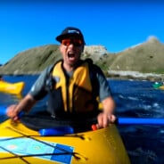 Cette otarie qui gifle un kayakiste avec un poulpe est en train de casser internet 🐙