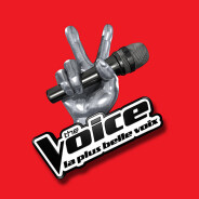 The Voice 8 : exit l&#039;audition finale, une nouvelle étape attend les candidats