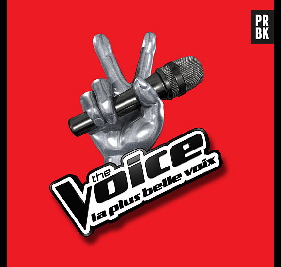 The Voice 8 : exit l'audition finale, une nouvelle étape attend les candidats