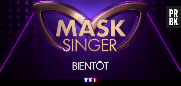 Mask Singer : Kev Adams, Jarry, Alessandra Sublet... les jurés du télé-crochet dévoilés