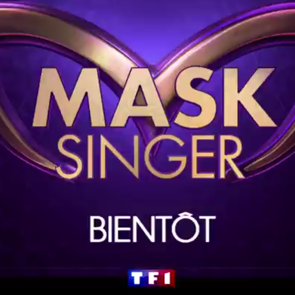 Mask Singer : Kev Adams, Jarry, Alessandra Sublet... les jurés du télé-crochet dévoilés