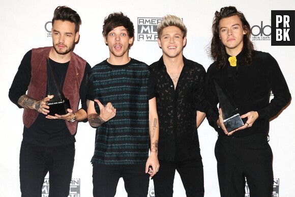 One Direction rafle de nombreux prix lors des cérémonies entre 2012 et 2013