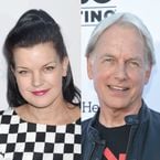 Pauley Perrette (NCIS) : CBS réagit à ses accusations de violences contre Mark Harmon