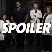 Grey&#039;s Anatomy saison 16 : qui est le père du bébé de (SPOILER) ? La showrunner répond