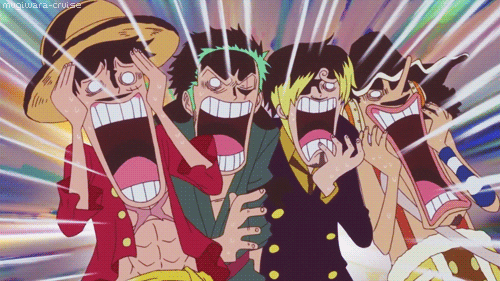 One Piece : faut-il regarder l'intégrale de l'anime sur ADN ?