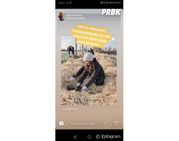 Ecosia Plante Il Vraiment Des Arbres EnjoyPhoenix, Tibo InShape et Juju FitCats ont planté 1000 arbres avec