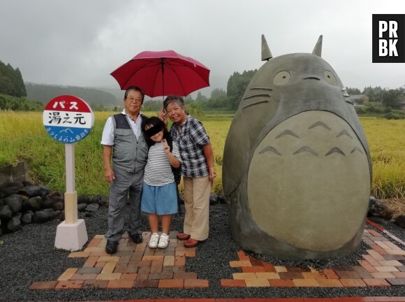 Mon Voisin Totoro : des grands parents construisent l'arrêt de bus du film pour leurs petits enfants